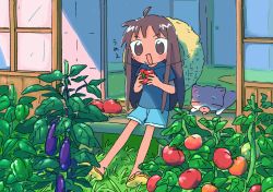 Rule 34 | 1girl, 1nupool, :d, ahoge, animal, bell pepper, bell pepper plant, blue shirt, blue shorts, blush stickers, brown eyes, brown hair, cat, eating, eggplant, flip-flops, food, food on face, fusuma, garden, grass, green pepper, hands up, hat, hat on back, highres, holding, holding food, holding vegetable, hot, leaf, light particles, long hair, no nose, no pupils, open mouth, original, outdoors, outstretched legs, pepper, pet, plant, sandals, scenery, shade, shirt, shoe soles, short sleeves, shorts, sitting, sliding doors, smile, solo, spread legs, straight hair, straw hat, sun hat, t-shirt, tan, tatami, tomato plant, tongue, tongue out, v-shaped eyebrows, vegetable, w arms, yellow footwear