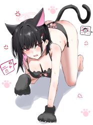 Rule 34 | 1girl, 1other, all fours, anal, anal object insertion, anal tail, anger vein, animal ears, animal hands, doodle sensei (blue archive), ass, ass cutout, bare legs, barefoot, bikini, black bikini, black hair, blue archive, blush, breasts, butt crack, butt plug, cat cutout, cat ears, cat lingerie, cat paw cutout, cat tail, cleavage, cleavage cutout, clothing cutout, colored inner hair, extra ears, fake tail, gloves, halo, highres, horn/wood, kazusa (blue archive), large breasts, looking at another, medium breasts, meme attire, multicolored hair, object insertion, paw gloves, pink hair, sensei (blue archive), sex toy, solo focus, spoken expression, sweat, swimsuit, tail