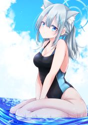 Rule 34 | 1girl, absurdres, animal ear fluff, animal ears, black one-piece swimsuit, blue archive, blue eyes, blue sky, breasts, cloud, competition swimsuit, cross hair ornament, extra ears, grey hair, hair ornament, halo, highres, looking at viewer, low ponytail, medium breasts, medium hair, mismatched pupils, multicolored clothes, multicolored swimsuit, one-piece swimsuit, seiza, shiroko (blue archive), shiroko (swimsuit) (blue archive), sitting, sky, solo, swimsuit, v arms, water, yanagiba sakana
