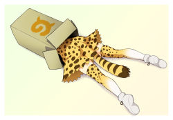 Rule 34 | 10s, 1girl, box, cardboard box, cat tail, from above, high-waist skirt, in box, in container, japari symbol, kemono friends, kouda tomohiro, lying, multicolored clothes, multicolored legwear, on stomach, serval (kemono friends), serval print, serval tail, shoe soles, shoes, simple background, skirt, socks, solo, tail, thighhighs, white footwear, yellow background, zettai ryouiki