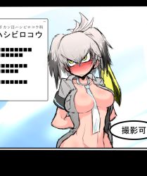 Rule 34 | 10s, 1girl, bad id, bad pixiv id, between breasts, black hair, blush, breasts, grey hair, grey necktie, grey shirt, head wings, kemono friends, long hair, looking away, low ponytail, multicolored hair, necktie, necktie between breasts, nuka cola06, open clothes, shirt, shoebill (kemono friends), short sleeves, side ponytail, solo, text focus, translation request, wings, yellow eyes