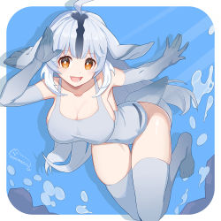 Rule 34 | 1girl, :d, ahoge, animal ears, bare shoulders, bearded seal (kemono friends), blush, breasts, brown eyes, collarbone, commentary request, elbow gloves, fang, gloves, grey hair, hair between eyes, highleg, highleg leotard, hormesis, kemono friends, large breasts, leotard, long hair, looking at viewer, multicolored hair, one-piece swimsuit, open mouth, outside border, smile, solo, swimsuit, tail, thighhighs