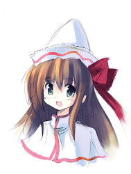 Rule 34 | 1girl, blush, bow, brown hair, capelet, face, female focus, green eyes, hair bow, hat, lily white, long hair, looking at viewer, ribbon, seo tatsuya, simple background, smile, solo, touhou