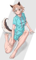 Rule 34 | 1girl, animal ears, barefoot, blue shorts, blue sweater, dog ears, dog girl, dog tail, drawstring, extra ears, feet, full body, hair between eyes, highres, hood, hood down, kemono friends, kemono friends 3, light brown hair, looking at viewer, multicolored hair, new guinea highland wild dog (kemono friends), official alternate costume, orange eyes, pink shorts, pink sweater, short hair, short shorts, short sleeves, shorts, sidelocks, solo, sweater, tail, tanabe (fueisei), toes, two-tone hair, two-tone shirt, two-tone shorts, white hair