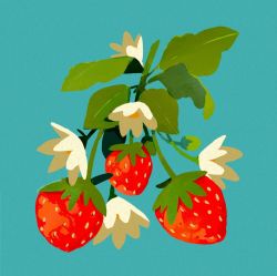 Rule 34 | blue background, commentary, english commentary, flower, food, food focus, fruit, highres, leaf, libbyframe, no humans, original, plant, signature, simple background, still life, strawberry, white flower