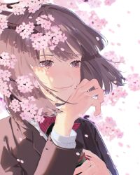 Rule 34 | 1girl, absurdres, blazer, blurry, blush, bow, bowtie, brown eyes, brown hair, brown jacket, cherry blossoms, closed mouth, commentary request, crying, crying with eyes open, depth of field, falling petals, floating hair, highres, holding, jacket, light particles, long sleeves, original, petals, puffy sleeves, red bow, red bowtie, shadow, shirt, short hair, solo, sparkling eyes, striped bow, striped bowtie, striped clothes, tears, umi (umi04787030), upper body, white background, white shirt, wiping tears