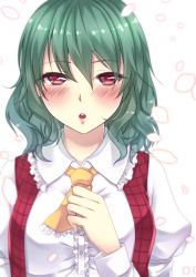 Rule 34 | 1girl, bad id, bad pixiv id, blurry, blush, breasts, depth of field, female focus, geike, green hair, hand on own chest, highres, kazami yuuka, large breasts, looking at viewer, open mouth, petals, red eyes, solo, touhou, vest, white background