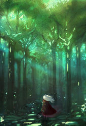 Rule 34 | 1girl, axe, cape, collaboration, commentary, dappled sunlight, english commentary, facing away, fernanda dias, forest, from behind, full body, long hair, nature, original, solo, standing, sunlight, white hair, wide shot, wind, wind lift