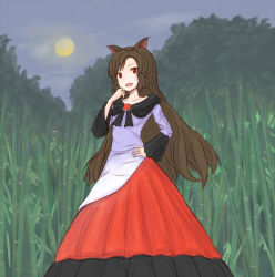 Rule 34 | 1girl, animal ears, bamboo, bamboo forest, brown hair, dress, forest, full moon, hand on own hip, imaizumi kagerou, kashiwada kiiho, long hair, moon, nature, night, red eyes, touhou, wolf ears
