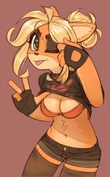 Rule 34 | 1girl, absurdres, ahoge, alternate costume, alternate hair length, alternate hairstyle, animal ears, black choker, black gloves, black shirt, black shorts, black thighhighs, blonde hair, body fur, bra, breasts, choker, cleavage, closed mouth, clothes lift, coco bandicoot, cowboy shot, crash bandicoot (series), eyeshadow, female focus, fingerless gloves, flashing, furry, furry female, gloves, green eyes, hair bun, hands up, happy, highres, lifted by self, looking at viewer, makeup, medium breasts, navel, one eye closed, red background, red bra, shiny skin, shirt, shirt lift, short hair, short shorts, short sleeves, shorts, simple background, single hair bun, sketch, smile, solo, standing, stomach, thighhighs, tongue, tongue out, underwear, w, wamudraws, wink