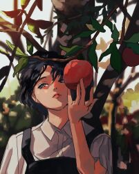Rule 34 | 1girl, absurdres, apple, apple tree, apron, black apron, black hair, blurry, blurry background, branch, closed mouth, collared shirt, commentary request, day, expressionless, food, fruit, grey eyes, highres, leaf, myango (applemangocrape), original, outdoors, shirt, short hair, solo, tree, upper body, white shirt