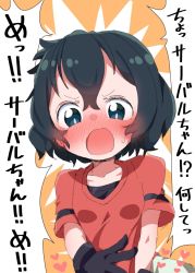 Rule 34 | 1girl, bad id, bad pixiv id, black hair, blush, commentary request, frown, heart, kaban (kemono friends), kemono friends, looking at viewer, nekonyan (inaba31415), open mouth, red shirt, shirt, short hair, short sleeves, solo, sweatdrop, t-shirt, translated, wavy hair