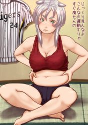 Rule 34 | 1girl, animal ears, barefoot, baseball jersey, belly, blush stickers, breasts, cat ears, cleavage, deep skin, full body, hakusan tora, hanshin tigers, highres, indian style, kamisuki, large breasts, midriff, muffin top, navel, nippon professional baseball, no, original, plump, silver hair, sitting, solo, tatami, translation request, weight conscious