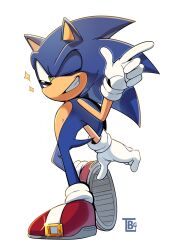 Rule 34 | 1boy, animal ears, animal nose, blue fur, full body, furry, furry male, gloves, green eyes, hedgehog, hedgehog boy, hedgehog ears, hedgehog tail, highres, male focus, one eye closed, shoes, simple background, solo, sonic (series), sonic the hedgehog, tail