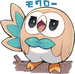 Rule 34 | bird, black eyes, branch, character name, commentary request, creature, creatures (company), full body, game freak, gen 7 pokemon, haruken, looking up, lowres, nintendo, no humans, open mouth, owl, pokemon, pokemon (creature), rowlet, solo, standing, tongue, white background