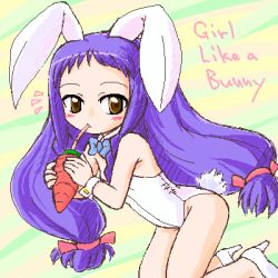 Rule 34 | 00s, 1girl, animal ears, ayase yue, bare legs, brown eyes, carrot, drinking, english text, engrish text, fake animal ears, flat chest, high heels, long hair, lowres, mahou sensei negima!, playboy bunny, purple hair, rabbit ears, rabbit tail, ranguage, shoes, solo, sotto, tail