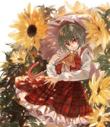 Rule 34 | 1girl, ascot, collared shirt, commentary request, cowboy shot, flower, frilled skirt, frills, green hair, hair between eyes, kazami yuuka, konabetate, long skirt, long sleeves, looking at viewer, open mouth, parasol, plaid, plaid skirt, plaid vest, red eyes, red skirt, red vest, shirt, short hair, skirt, skirt set, solo, sunflower, touhou, umbrella, vest, wavy hair, white background, white shirt, yellow ascot