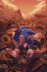Rule 34 | 1boy, absurdres, digimin, furry, furry male, gloves, green eyes, highres, junk, looking at viewer, mechanical arms, orange sky, outdoors, rust, shoes, sitting, sky, solo, sonic (series), sonic the hedgehog, sonic the hedgehog (idw), sunset, white gloves