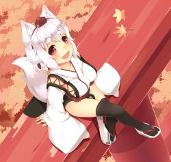 Rule 34 | 1 mutsuki, 1girl, :d, animal ears, autumn leaves, black thighhighs, blush, breasts, crossed legs, dutch angle, fang, female focus, hat, inubashiri momiji, kourindou tengu costume, large breasts, leaf, looking at viewer, looking up, maple leaf, open mouth, red eyes, sandals, short hair, sitting, smile, solo, tail, thighhighs, tokin hat, torii, touhou, white hair, wolf ears, wolf tail