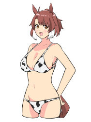 1girl ahoge alternate_costume animal_ears animal_print bikini blush breasts brown_eyes brown_hair colored_tips commentary_request cow_print cow_print_bikini cowboy_shot cropped_legs dantsu_flame_(umamusume) dao_ne-ii39ra42k-3-7 hair_between_eyes hands_on_own_hips highres horse_ears horse_girl horse_tail large_breasts looking_at_viewer medium_hair multicolored_hair navel open_mouth partial_commentary ponytail print_bikini simple_background smile solo stomach streaked_hair swimsuit tail umamusume white_background white_hair