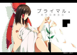 Rule 34 | 1girl, bow, breasts, brown eyes, brown hair, detached sleeves, female focus, flower, from side, hair bow, hair tubes, hakurei reimu, hamayumiba sou, knees up, letterboxed, light smile, long sleeves, medium breasts, nude, parted lips, petals, profile, red bow, sidelocks, simple background, sitting, solo, teeth, touhou, vase, white background, wide sleeves