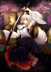Rule 34 | 1girl, animal ears, arm up, armpits, cherry blossoms, detached sleeves, forest, hat, highres, inubashiri momiji, katana, ken (coffee michikusa), long sleeves, nature, red eyes, sheath, shirt, short hair, short sleeves, skirt, solo, sword, tail, tokin hat, touhou, unsheathing, weapon, white hair, wide sleeves, wolf ears, wolf tail