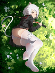 Rule 34 | 1girl, absurdres, animal ear fluff, animal ears, cat ears, cat girl, cat tail, feet, full body, highres, looking at viewer, lying, no shoes, on side, open mouth, original, panties, red eyes, shitsurakuen (paradise lost), short hair, skindentation, soles, solo, tail, thighhighs, thighs, underwear, white hair, white panties, white thighhighs
