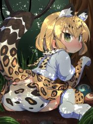 Rule 34 | 10s, 1girl, :&lt;, animal ears, ass, blonde hair, blush, cat ears, cat tail, dappled sunlight, day, elbow gloves, forest, from behind, fur collar, gloves, grass, highres, jaguar (kemono friends), jaguar ears, jaguar print, jaguar tail, kemono friends, looking at viewer, moyachii, nature, outdoors, panties, paw pose, print panties, print thighhighs, shade, short hair, short sleeves, sitting, solo, sunlight, sweatdrop, tail, thighhighs, tree, underwear, yellow eyes
