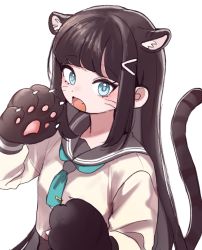 Rule 34 | 1girl, animal ears, animal hands, aqua eyes, artist name, artist request, black hair, blunt bangs, blush, breasts, buttons, cat ears, cat tail, collarbone, fang, female focus, gloves, green eyes, green neckerchief, green necktie, grey sailor collar, grey skirt, hair ornament, hairclip, highres, kurosawa dia, layered skirt, long hair, long sleeves, looking at viewer, love live!, love live! sunshine!!, miniskirt, mole, mole under mouth, neckerchief, necktie, parted lips, paw gloves, plaid, plaid skirt, pleated, pleated skirt, sailor collar, school uniform, sharp teeth, shirt, skirt, small breasts, smile, solo, sweater, tail, teeth, tie clip, uranohoshi school uniform, white background, white shirt, white sweater
