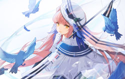 Rule 34 | 1girl, arknights, bird, capelet, ceylon (arknights), closed mouth, feather hair, feathers, gloves, hat, highres, long hair, looking to the side, nahonanaho, pink hair, solo, transparent, transparent umbrella, umbrella, yellow eyes