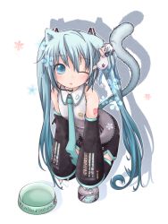 Rule 34 | 2girls, akino coto, animal ears, aqua eyes, aqua hair, bowl, cat ears, cat tail, character name, detached sleeves, grabbing another&#039;s ear, hachune miku, hand on another&#039;s ear, hatsune miku, headset, highres, kemonomimi mode, long hair, multiple girls, necktie, one eye closed, seiza, sitting, skirt, tail, thighhighs, twintails, very long hair, vocaloid, wink
