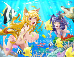 Rule 34 | 2girls, air bubble, animal ears, barefoot, blonde hair, breasts, breath, coral, covered erect nipples, fish, fox, fox ears, fox tail, freediving, holding breath, large breasts, line (tatatadadda), long hair, looking at viewer, multiple girls, ocean, open mouth, original, personification, purple hair, red eyes, sea turtle, smile, summer, swimming, swimsuit, tail, turtle, underwater