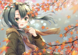 Rule 34 | 1girl, autumn, autumn leaves, blush, brown scarf, green eyes, green hair, green jacket, hair between eyes, holding, holding leaf, jacket, kantai collection, leaf, long hair, long sleeves, maple leaf, minakami nagara, open clothes, open jacket, open mouth, scarf, smile, solo, twintails, upper body, zuikaku (kancolle)