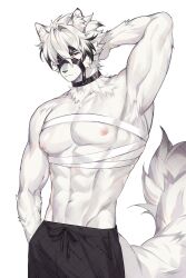 1boy abs animal_ear_fluff animal_ears arm_behind_head arm_up artist_name bandaged_chest bandages biceps black_hair black_pants body_fur closed_mouth commentary drawstring english_commentary eyepatch furry furry_male hair_between_eyes hair_intakes hand_in_pocket highres looking_at_viewer male_focus multicolored_hair muscular muscular_male muzzle_(mask) navel nipples one_eye_covered pants pectorals red_eyes rourouki short_hair simple_background solo stomach streaked_hair tail topless_male veins von_lycaon watermark white_background white_fur white_hair wolf_boy wolf_tail zenless_zone_zero