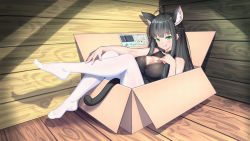 Rule 34 | 1girl, absurdres, ahoge, animal ears, bare shoulders, black hair, blunt bangs, box, braid, breasts, cardboard box, cat ears, cat tail, chinese commentary, cleavage cutout, clothing cutout, dress, extra ears, feet, full body, green eyes, highres, in box, in container, large breasts, legs up, long hair, nekomata, open mouth, original, pantyhose, see-through, shadow, sitting, solo, strapless, strapless dress, tail, toes, white pantyhose, wooden floor, wooden wall, xiaoxi0619