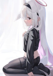 Rule 34 | 1girl, absurdres, black hairband, black pantyhose, blue archive, blush, breasts, colored inner hair, cropped shirt, curtains, grey hair, hairband, halo, highres, indoors, kmp (kenma pro), kneeling, long hair, long sleeves, looking at viewer, multicolored hair, neckerchief, no pants, pantyhose, pink hair, plana (blue archive), profile, school uniform, sideways glance, small breasts, soles, solo, straight hair, thighband pantyhose, toes, two-tone hair, very long hair, white neckerchief
