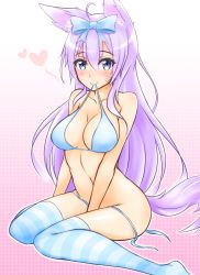 Rule 34 | 1girl, ahoge, animal ears, bad id, bad pixiv id, bikini, bikini in mouth, blue bikini, blue eyes, blush, bow, breasts, cat ears, clothes in mouth, collarbone, geckolion, hair bow, heart, large breasts, light purple hair, long hair, looking at viewer, mouth hold, original, sitting, smile, solo, striped clothes, striped thighhighs, swimsuit, tail, thighhighs, untied bikini, wariza, whiskers, wolf ears, wolf tail