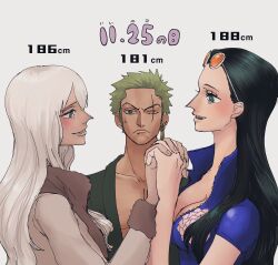 Rule 34 | 1boy, 2girls, black hair, blue eyes, closed mouth, crying, crying with eyes open, earrings, eyewear on head, green hair, height difference, highres, hisarakanoi, holding hands, jewelry, long hair, looking at another, looking at viewer, mother and daughter, multiple girls, nico olvia, nico robin, one eye closed, one piece, open mouth, roronoa zoro, scar, short hair, single earring, smile, sunglasses, tearing up, tears, white hair