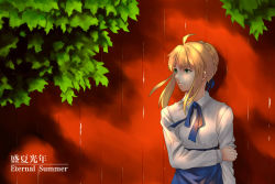 Rule 34 | 1girl, absurdres, ahoge, artoria pendragon (fate), blonde hair, english text, fate/stay night, fate (series), fork (357022), green eyes, highres, holding own arm, leaf, light smile, saber (fate), solo, tree, type-moon
