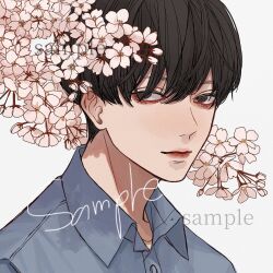 Rule 34 | 1boy, bishounen, black eyes, black hair, blue shirt, branch, cherry blossoms, closed mouth, collared shirt, commission, highres, kagoya1219, looking at viewer, male focus, original, portrait, sample watermark, shirt, short hair, simple background, solo, watermark, white background