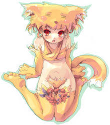 Rule 34 | animal ears, flat chest, moonlight flower, ragnarok online, red eyes, solo, tagme, tail