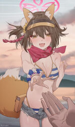 Rule 34 | 1boy, 1girl, animal ears, bikini, blue archive, blurry, blurry background, bracelet, breasts, brown hair, chilakkk, cleavage, cowboy shot, fang, fox ears, fox tail, halo, highres, izuna (blue archive), izuna (swimsuit) (blue archive), jewelry, looking at viewer, medium breasts, navel, official alternate costume, outdoors, pov, pov hands, reaching, reaching towards viewer, red scarf, scarf, skin fang, striped bikini, striped clothes, swimsuit, tail, twitter username, visor cap