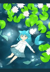 Rule 34 | 1girl, afloat, animal, animal ears, blue eyes, blue hair, blue skirt, buttons, cat ears, closed mouth, collared shirt, diode (0 division), fins, fish, flower, frilled skirt, frills, full body, highres, lily (flower), lily pad, long sleeves, looking to the side, no shoes, original, outdoors, pond, shirt, skirt, solo, white flower, white shirt