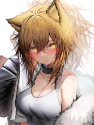 Rule 34 | 1girl, absurdres, animal ears, arknights, black jacket, blonde hair, blush, breasts, cleavage, closed mouth, collar, collarbone, commentary request, drying, drying hair, fur-trimmed jacket, fur trim, highres, holding, holding towel, jacket, large breasts, lion ears, long sleeves, looking at viewer, open clothes, open jacket, ponytail, revision, sidelocks, siege (arknights), simple background, single bare shoulder, smile, solo, tab head, tank top, towel, upper body, white background, yellow eyes