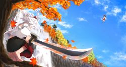 Rule 34 | 2girls, absurdres, animal ears, autumn leaves, barefoot, black hair, black skirt, blue sky, cloud, commentary, detached sleeves, god g4mes, gohei, hakurei reimu, hat, highres, holding, holding sword, holding weapon, inubashiri momiji, leaf, maple leaf, multiple girls, outdoors, red headwear, red skirt, short hair, skirt, sky, soles, solo focus, squatting, sword, tokin hat, touhou, tree, two-tone skirt, water, waterfall, weapon, white hair, wide sleeves, wolf ears, wolf girl