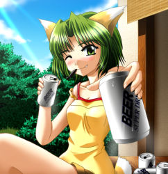 Rule 34 | 1girl, alcohol, animal ears, beer, can, cat ears, day, fang, green eyes, green hair, lowres, one eye closed, short tail, sky, smile, solo, tail, wink