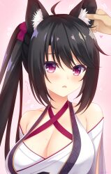 Rule 34 | 1girl, 1other, ahoge, animal ear fluff, animal ears, bare shoulders, black hair, blush, breasts, cleavage, commentary request, criss-cross halter, eyelashes, flying sweatdrops, frown, grabbing another&#039;s ear, hair between eyes, halterneck, hand on another&#039;s ear, highres, hoshikawa kaguya, irori (irorixc), japanese clothes, kimono, large breasts, long hair, looking to the side, motion lines, open mouth, paid reward available, pink background, ponytail, red eyes, shy, simple background, solo focus, sound effects, swept bangs, tenshi souzou re-boot!, upper body, white kimono