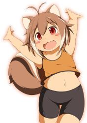 Rule 34 | 1girl, ahoge, animal ears, arc system works, armpits, arms up, belly, bike shorts, blazblue, blazblue: continuum shift, blush stickers, brown hair, child, highres, makoto nanaya, mirano, navel, orange shirt, red eyes, shirt, shorts, solo, squirrel ears, squirrel tail, tail, aged down
