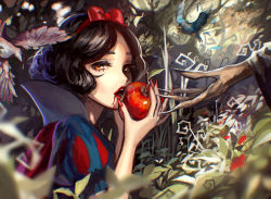 Rule 34 | 1girl, apple, bird, bow, brown eyes, brown hair, cape, disney, eating, fingernails, flower, food, fruit, hair bow, hairband, leaf, lips, lipstick, long fingernails, looking at viewer, makeup, nail polish, open mouth, pine (yellowpine112), profile, puffy short sleeves, puffy sleeves, short hair, short sleeves, snow white (disney), snow white and the seven dwarfs, tree, tsukun112, upper body