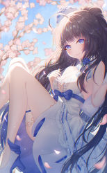 Rule 34 | 1girl, absurdres, ahoge, bare shoulders, black hair, blue bow, blue eyes, blue flower, blue rose, bow, braid, breast cutout, breasts, cherry blossoms, cleavage, dress, flower, hair flower, hair ornament, highres, honkai (series), honkai impact 3rd, huge filesize, long hair, looking at viewer, medium breasts, nalukikiki, raiden mei, rose, sleeveless, solo, thighhighs, white dress, white thighhighs